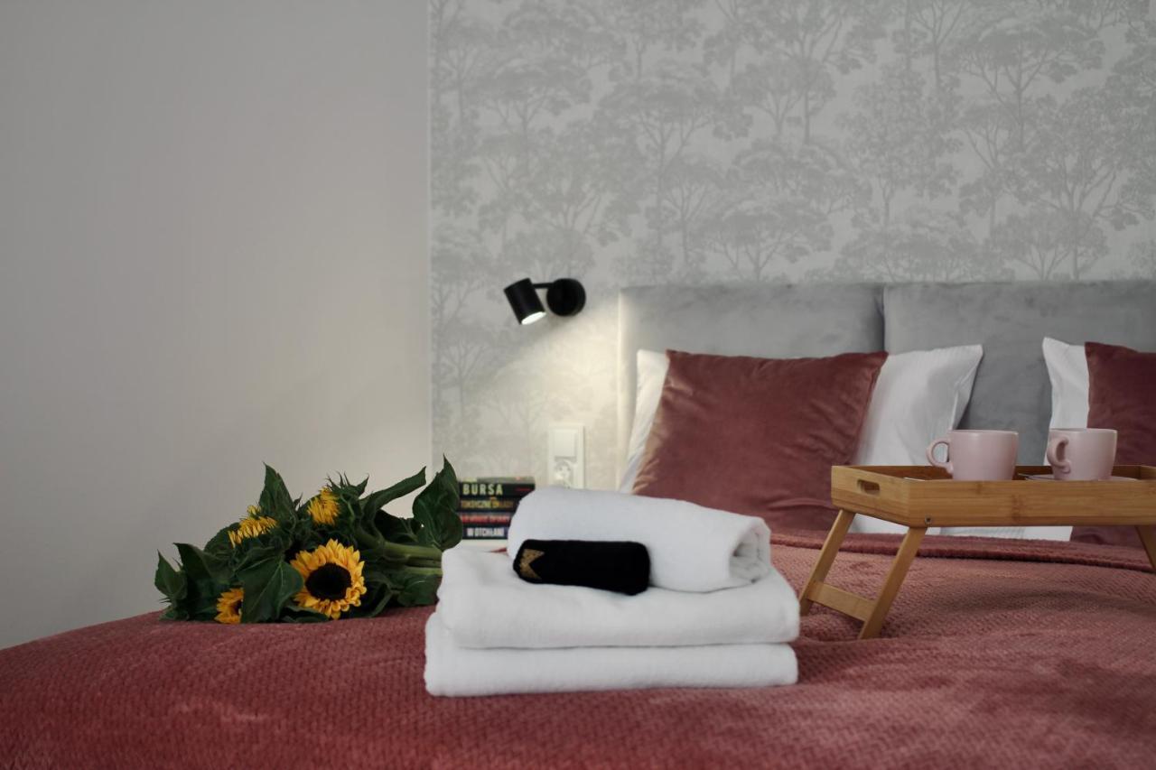 Luna Apartments Jelenia Gora Bagian luar foto